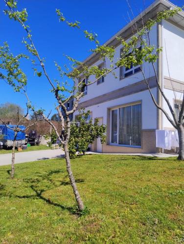 Teo Hostel | Calm Stay