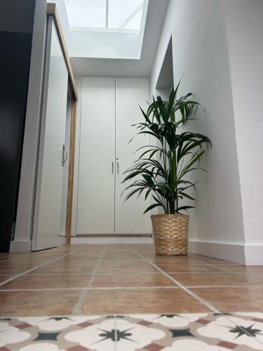 Santa Cruz de la Palma Apartment | casa Carmen Delia