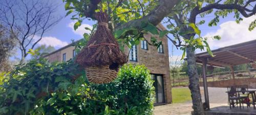 Arzua House | Casa Milia Arzúa - Transporte gratuíto desde la ciudad o conexión directa a pie desde el Camino