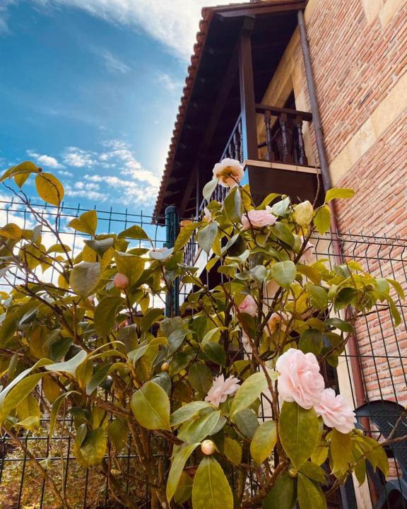 Comillas City Center Hotel | El Tejo de Comillas