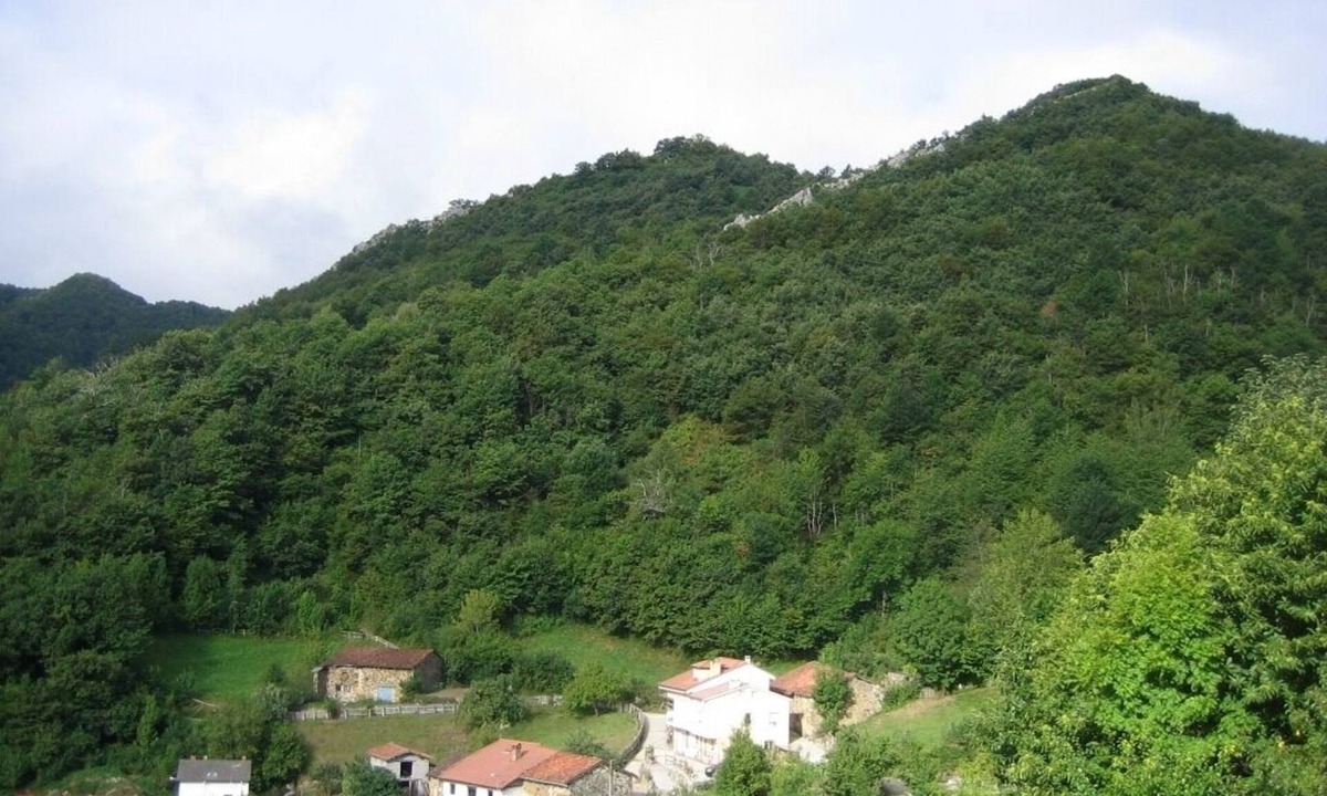 Campo de Caso Apartment | Parque Natural de Redes. Apartamento Compl. 3 Dormitorios y Espect. Vistas