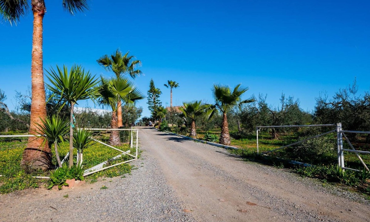 Bollullos de la Mitacion House | Rural House 'El Paraíso Del Olivar' with Private Pool, Terrace & Air Conditioning