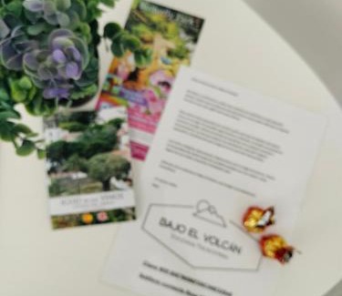 Santa Barbara Apartment | Bajo el Volcán