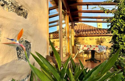 Icod de los Vinos Apartment | Finca Tenerife - Cozy Studio mit Traumblick & tropischem Garten