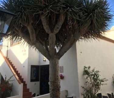 Arona Apartment | Tenerife Costa del silencio