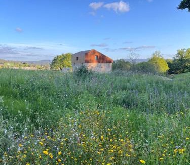 Maceira House | A casa de Foratoxo