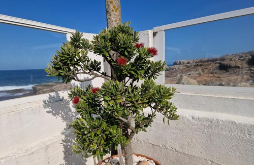 O Rosal House | CASA MAR DA LAXE