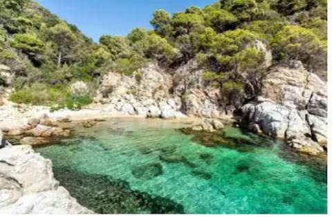 Canyelles House | CBA COSTA BRAVA - Cala Morisca