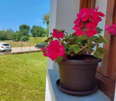 Ribadesella Bed & Breakfast | El Cuadron