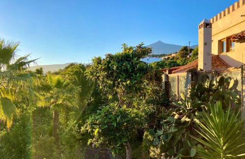 Icod de los Vinos Apartment | Finca Tenerife - Cozy Studio mit Traumblick & tropischem Garten