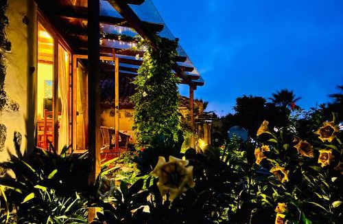 Icod de los Vinos Apartment | Finca Tenerife - Cozy Studio mit Traumblick & tropischem Garten