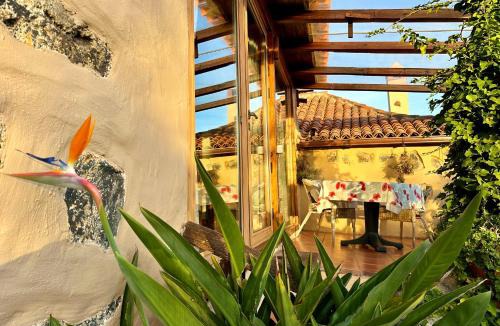 Icod de los Vinos Apartment | Finca Tenerife - Cozy Studio mit Traumblick & tropischem Garten