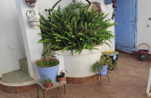 San Roque House | Homerez - House Puente Mayorga