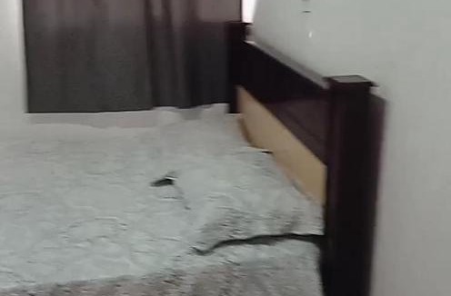 Vila Murad Hostel | Hostel da Gi