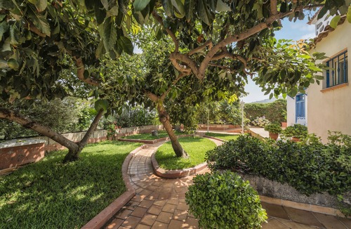 Las Cuevas Apartment | Loft with ocean, Teide and banana tree views