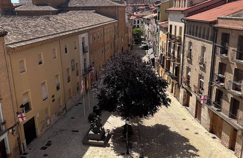 Tudela Apartment | Mercadal Square, Tudela