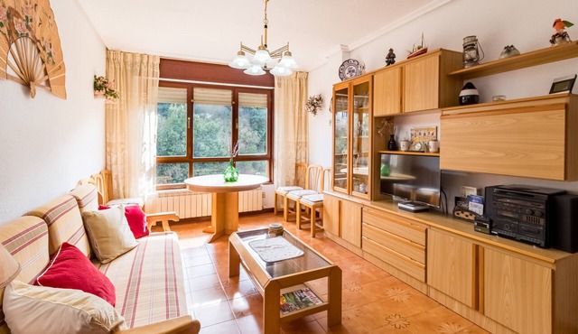 Apartment 'Mila Somo' with Balcony and Wi-Fi