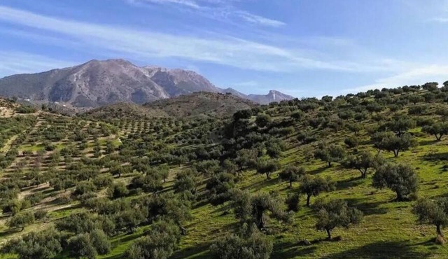 Casa La Loma – Winter Rentals and Long-Term Stays for 2 People