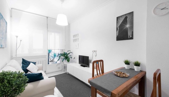 CENTRAL APARTMENT - ESS02028