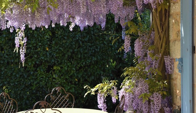 Charming 18th-century residence in the heart of Périgord Noir. Ideal for families. in Le Bugue