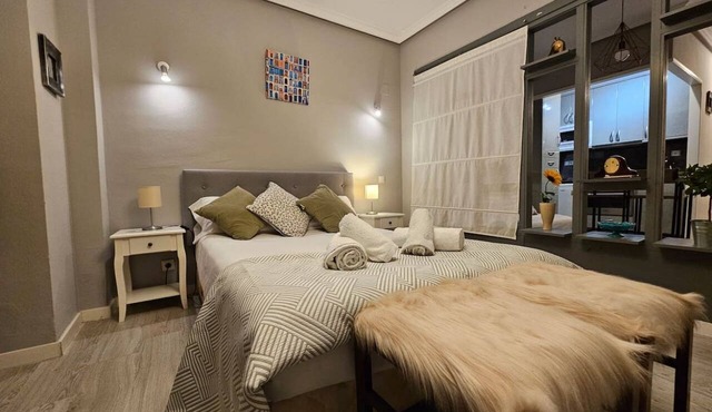 Charming studio in the city center, with an open-plan layout and a separated sleeping area. The apartment is located on an upper floor and features large windows. Situated on a pedestrian street with many nearby services. The bedroom includes an electric