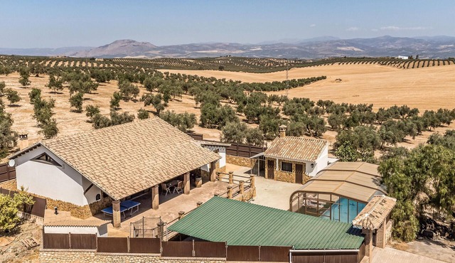 Cozy home in Salar with indoor swimming pool