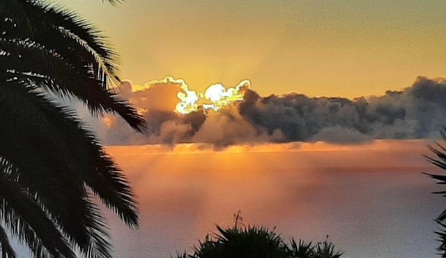 Finca La Guapa: Peace, Space, and the Canarian Spirit on La Palma
