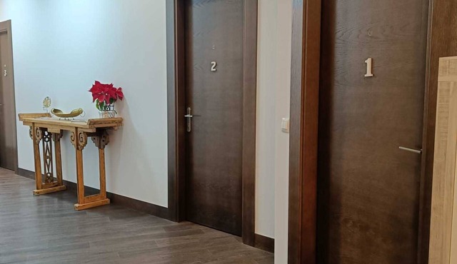 Large studio with mountain views