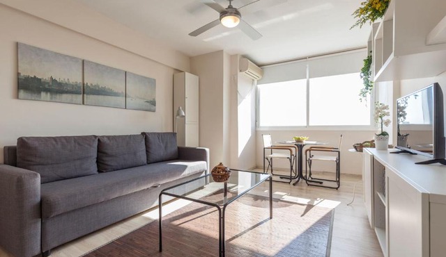 Loft con magnificas vistas centro Sevilla