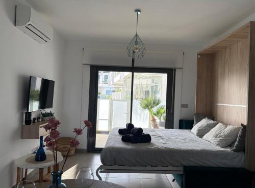 Modern Studio Lamar Resort