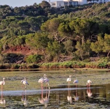 Mongofre Agroturismo