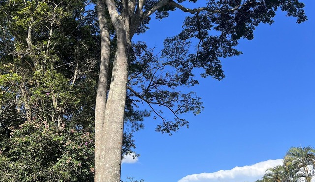 Procurando Tranquilidade e Diversão? Nós Temos Ambiente Natural e Aconchegante