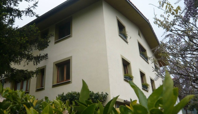 Sagarmintxe. Tourist apartment.