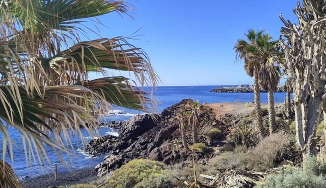 Surf Harbour