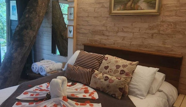 Tinyhouse cabin