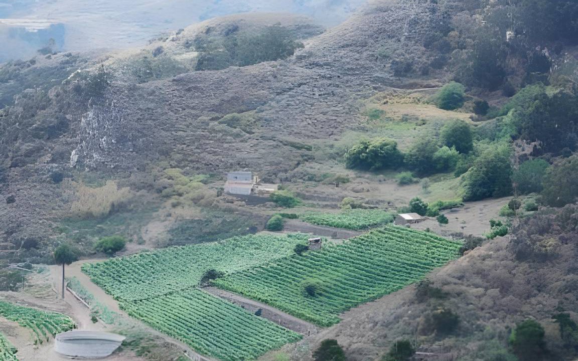 Photo of Others in San Cristobal de La Laguna