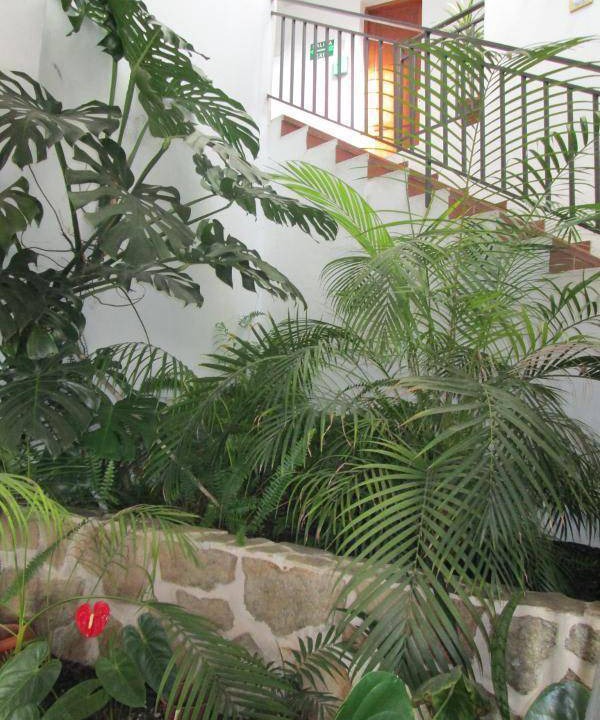 Photo of Others in Fuencaliente de la Palma