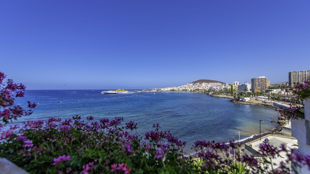 Photo of Others in Los Cristianos