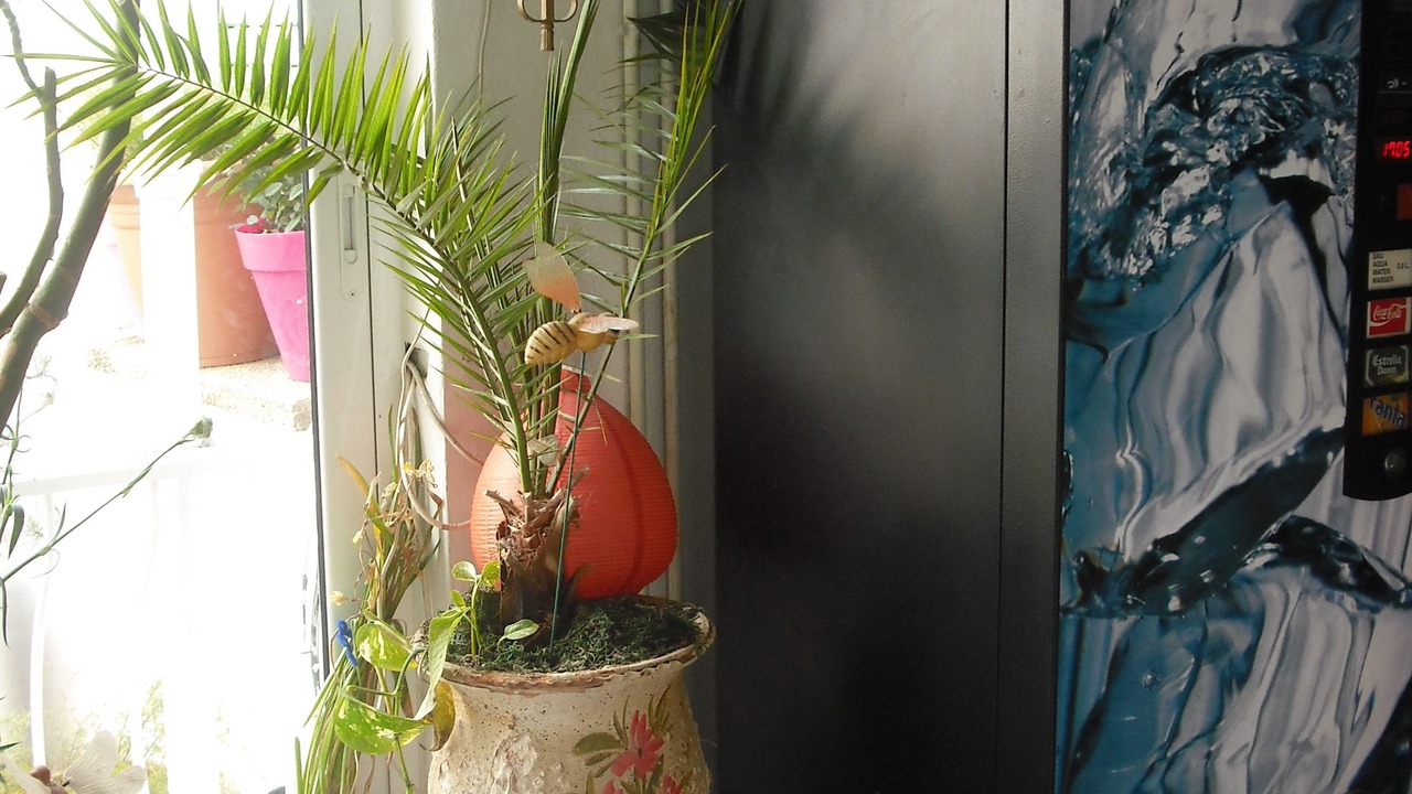 Photo of Others in Cassa de la Selva