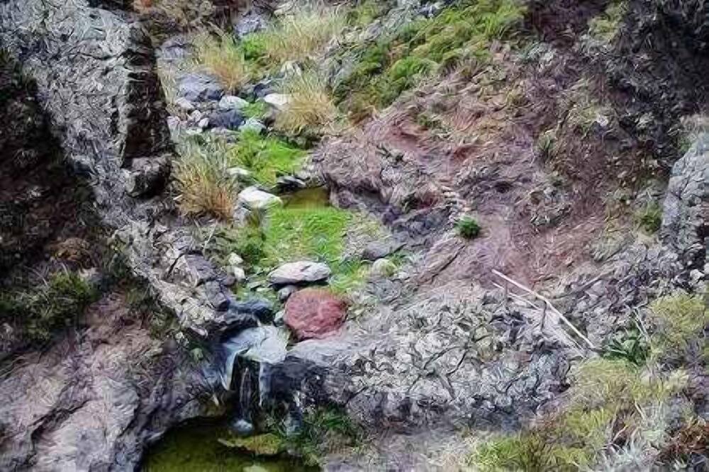 Photo of Outdoor in Santa Cruz de Tenerife