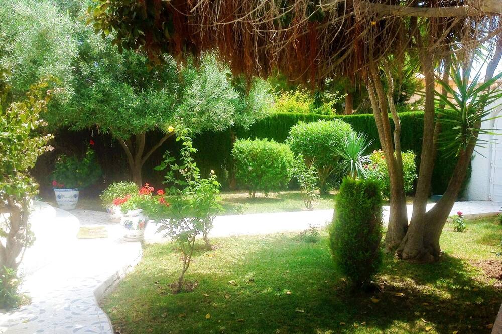 Photo of Outdoor in La Zenia
