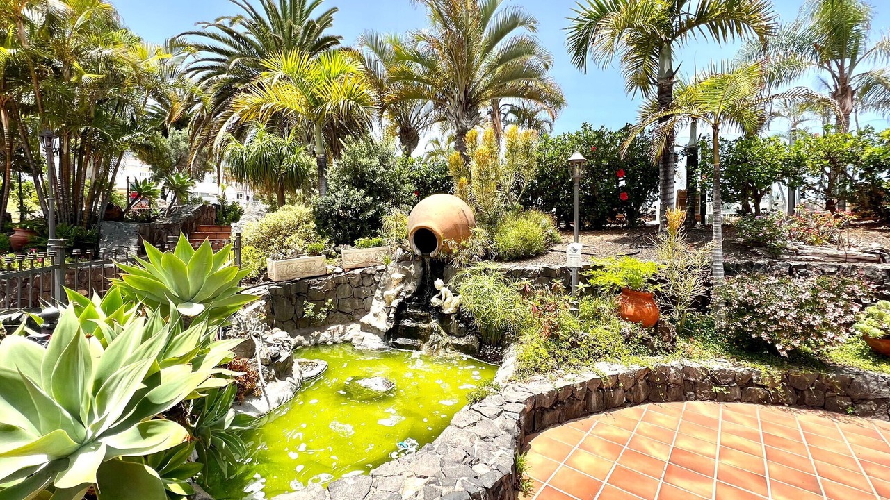 Photo of Outdoor in Los Realejos