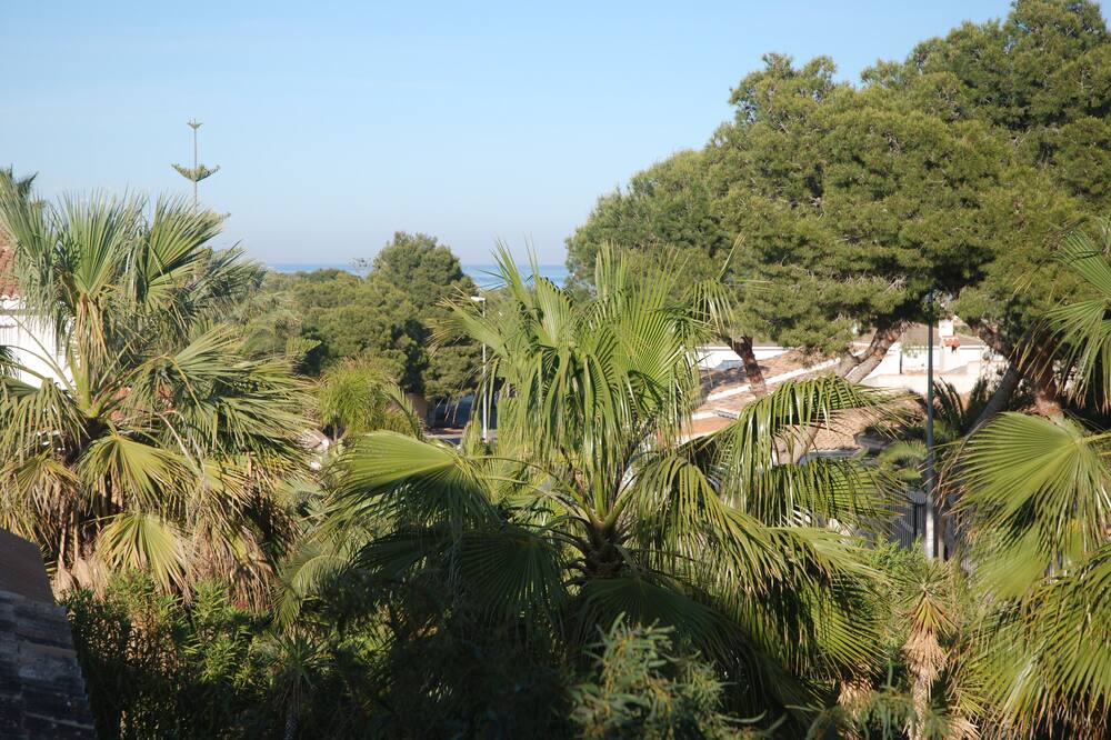 Photo of Outdoor in La Zenia