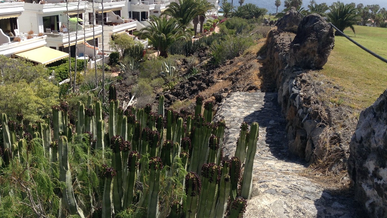 Photo of Outdoor in Complejo turistico Amarilla Golf