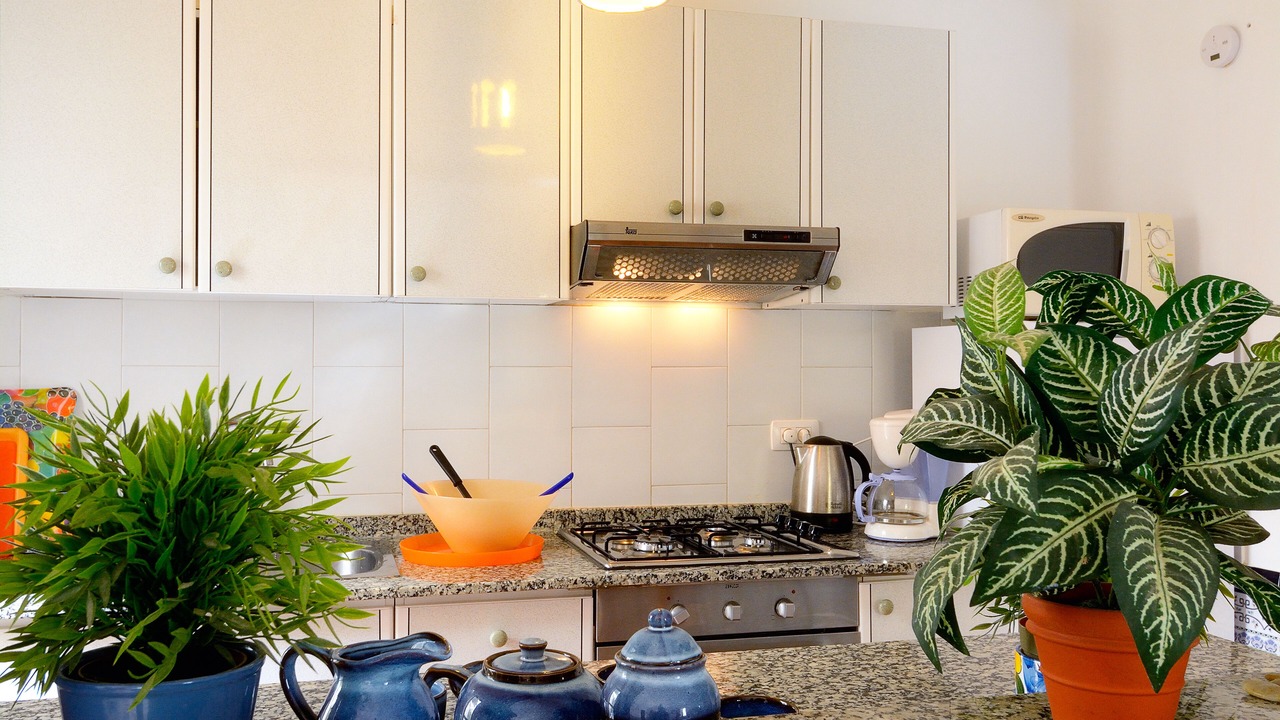 Photo of Kitchen in Nazaret