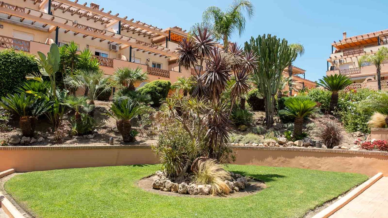 Photo of Others in El Faro