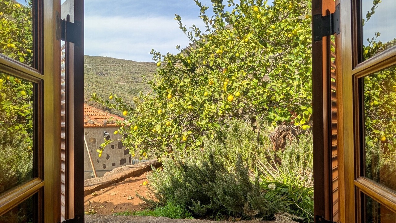 Photo of Others in Masca