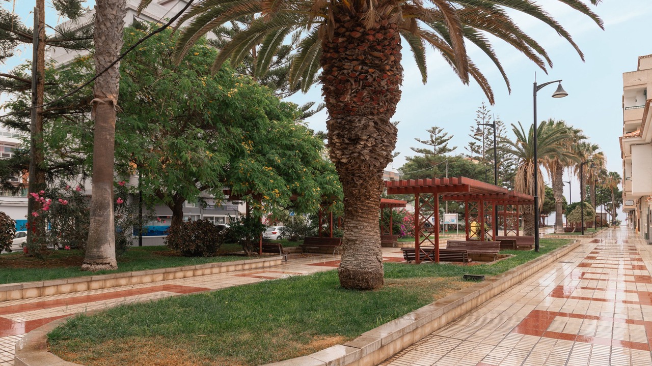 Photo of Others in Las Galletas