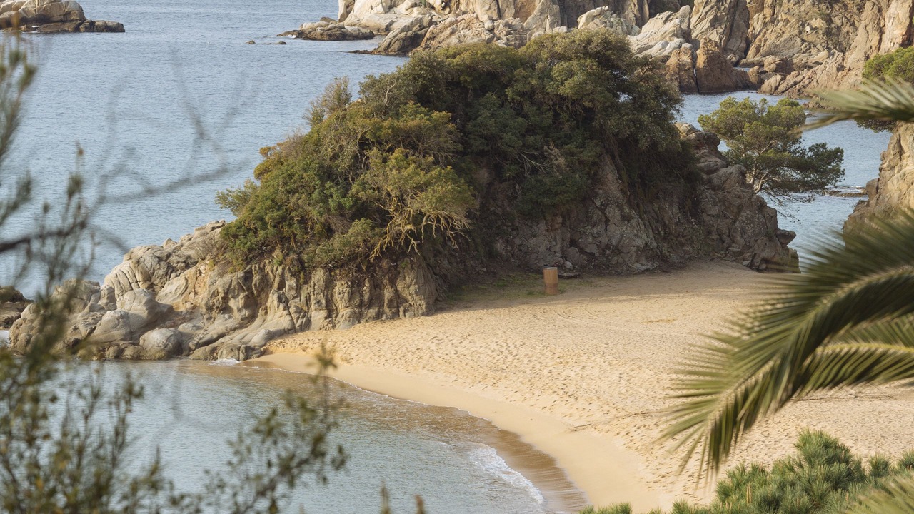 Photo of Others in Lloret de Mar
