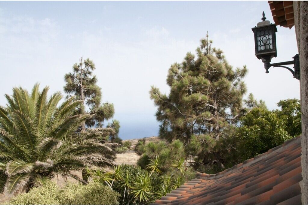 Photo of Outdoor in El Rosario